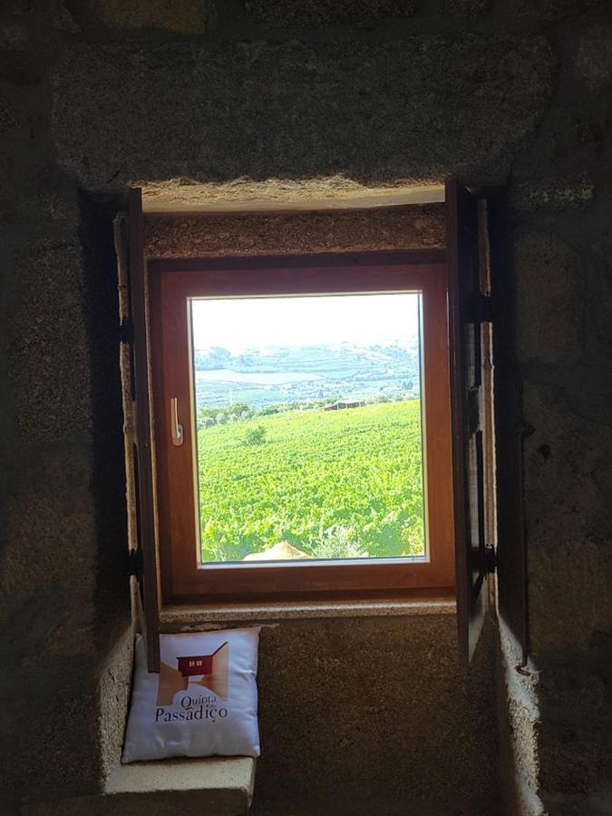 Вилла Quinta Do Passadico Ламегу Экстерьер фото